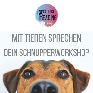 Solveig Workshop